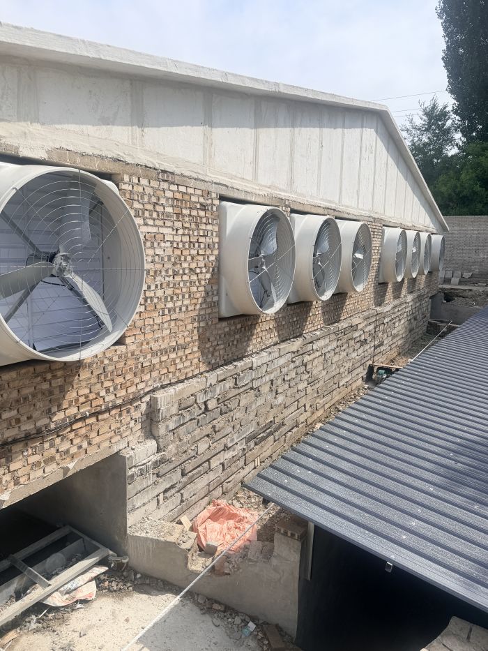 Negative-Pressure Fan