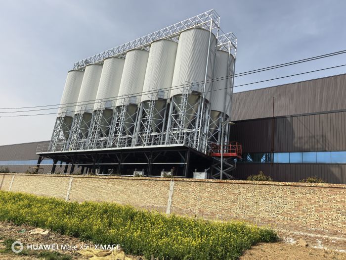 Feed Silo