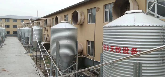 Feed Silo