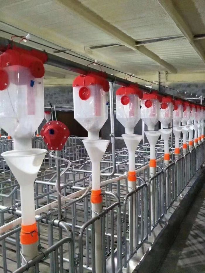 Automatic Feed Line