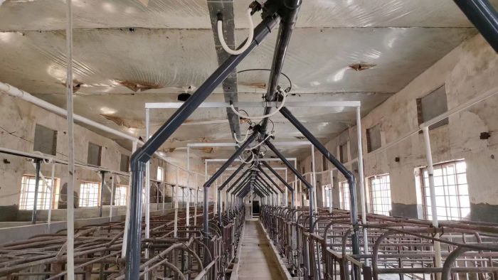 Automatic Feed Line