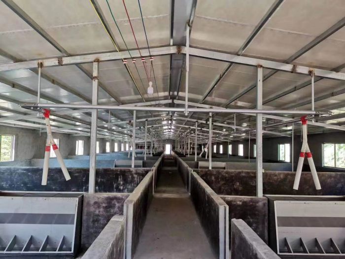 Automatic Feed Line