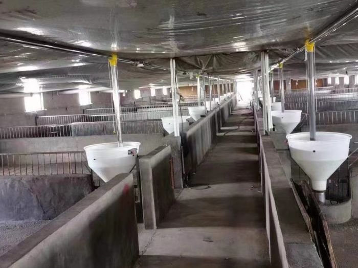 Automatic Feed Line