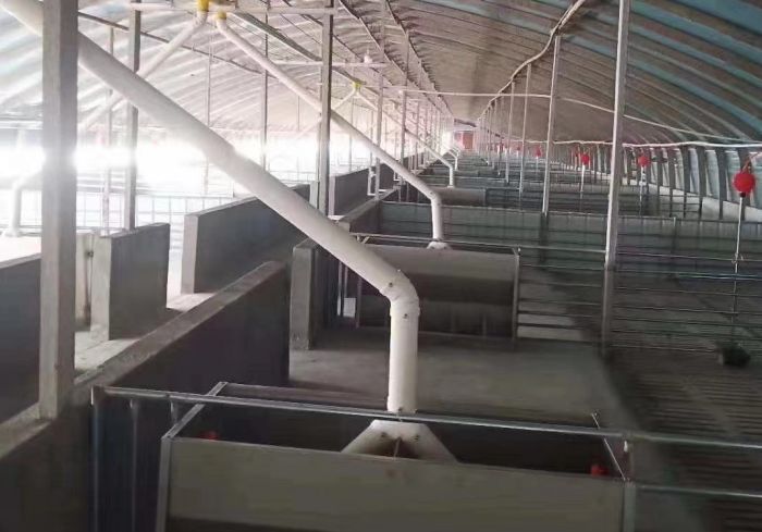 Automatic Feed Line