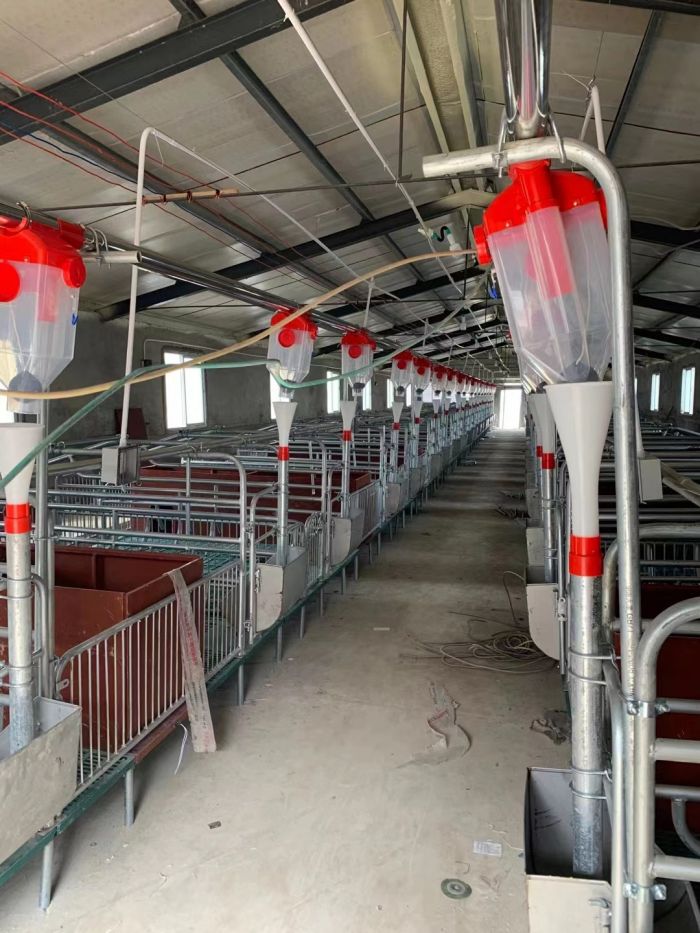 Automatic Feed Line