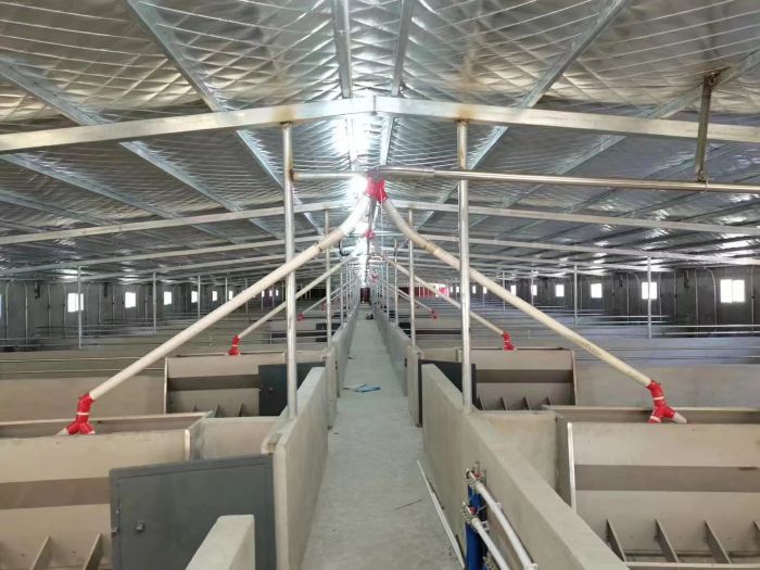 Automatic Feed Line