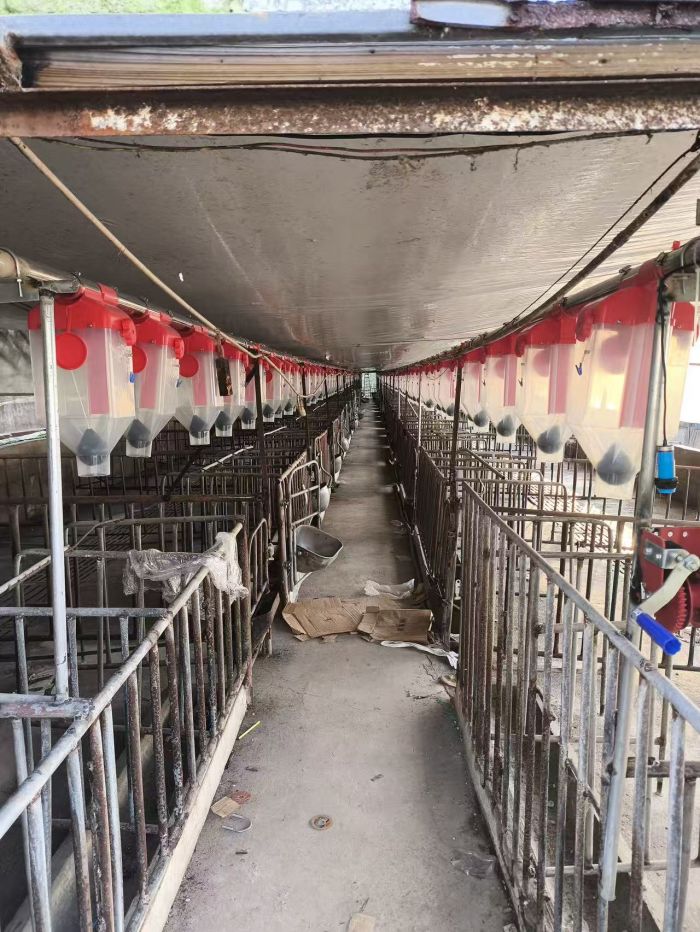 Automatic Feed Line
