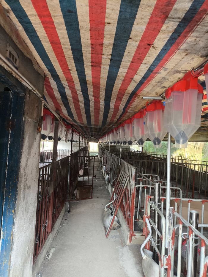 Automatic Feed Line