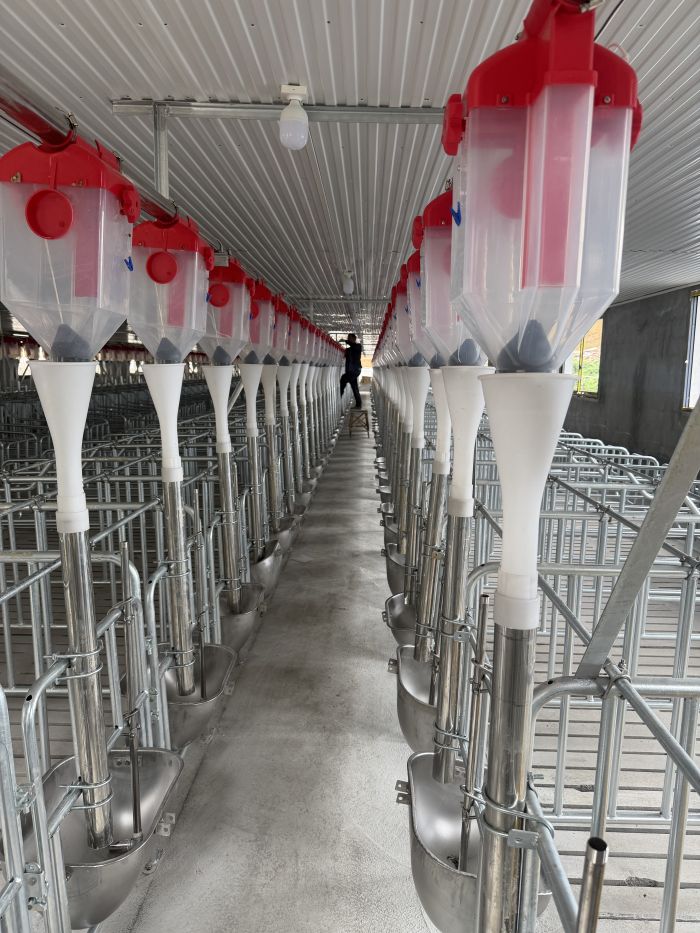 Automatic Feed Line