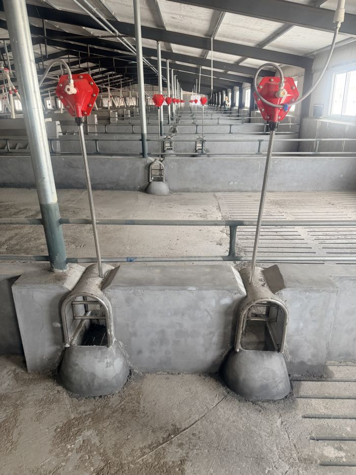 Automatic Feed Line