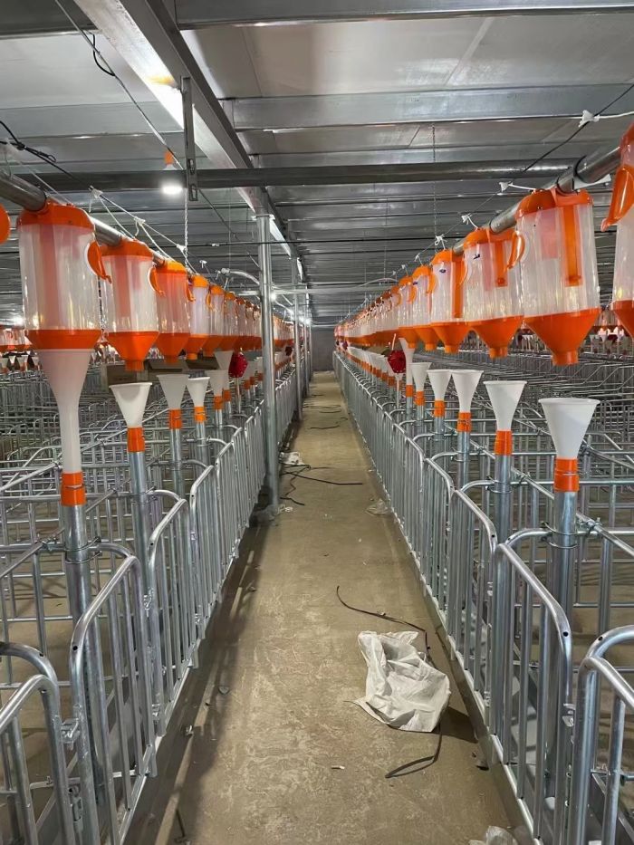Automatic Feed Line