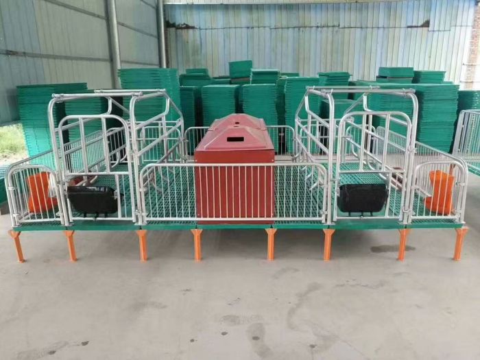 Sow Farrowing Crate