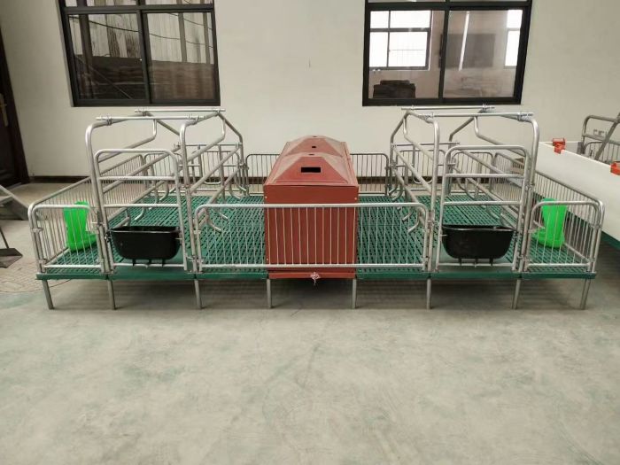 Sow Farrowing Crate