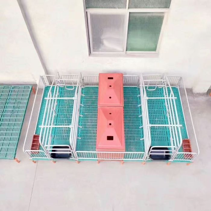 Sow Farrowing Crate