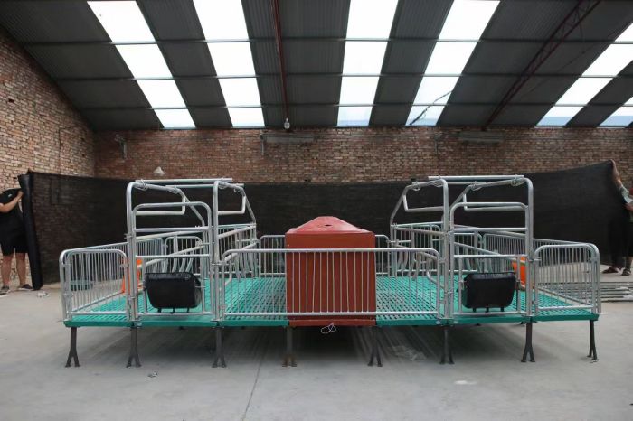 Sow Farrowing Crate