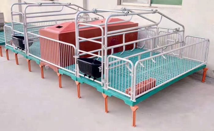 Sow Farrowing Crate