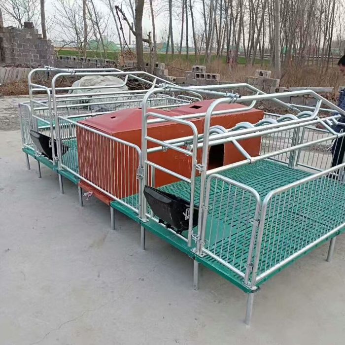 Sow Farrowing Crate