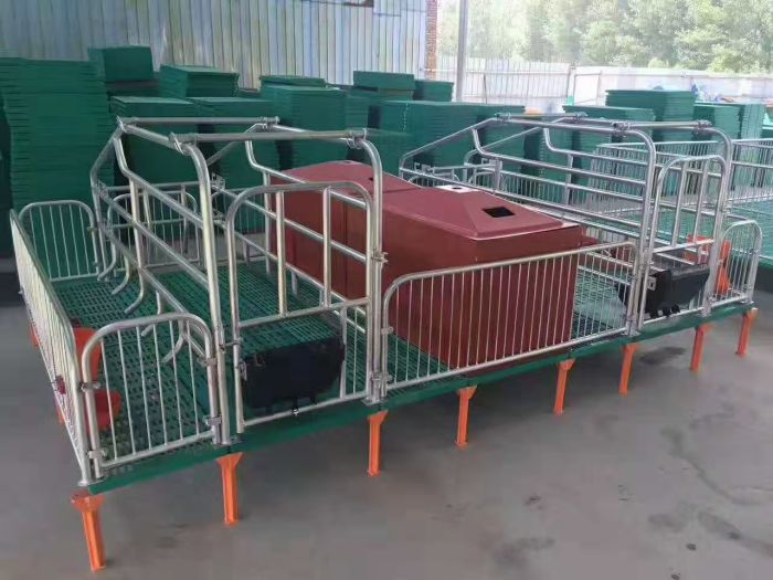Sow Farrowing Crate